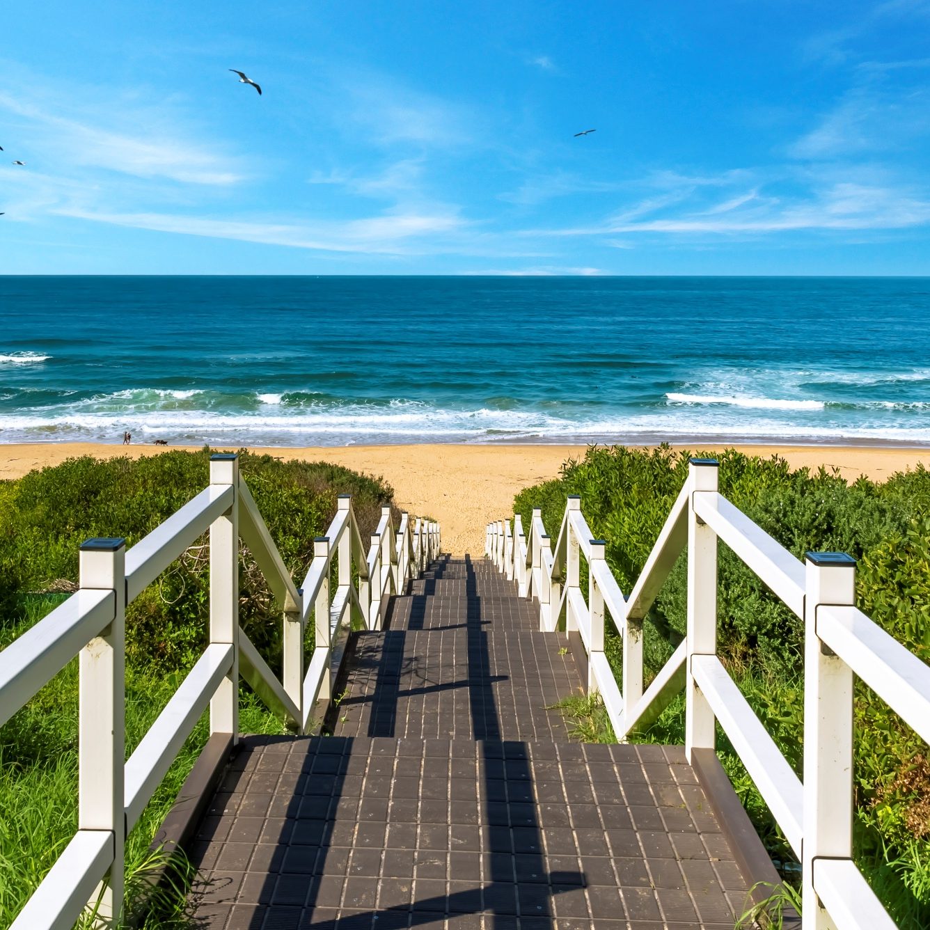 the-entrance-beach-access-boardwalk